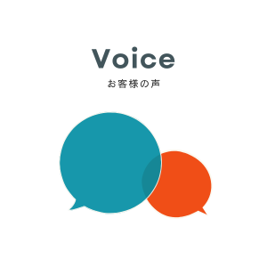 Voice